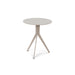 Bijzettafel DALEY HIGH Staal Silky Taupe 38x38x45cm-Bijzettafels-Spinder