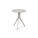 Bijzettafel DALEY HIGH Staal Silky Taupe 38x38x45cm-Bijzettafels-Spinder