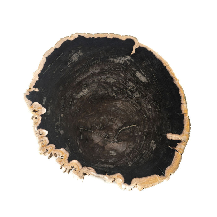 Zwarte bijzettafel Jisse van PTMD gemaakt van versteend hout met zichtbare houtnerf, 35x30 cm.