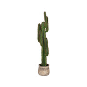Cactus Groen Kunststof 130 cm 30x25x130 cm-Kunstplanten-LABEL51