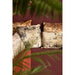 Decoratief kussen Ceola Groen Fluweel Rect Sierkussen Distress Print-Decoratief kussen-PTMD