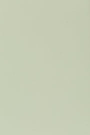 Eetkamerstoel Clive Light Plastic Groen 47x48 cm-Eetkamerstoelen-Creating Home