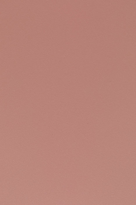 Eetkamerstoel Gigi Polypropyleen Roze 53.5x57 cm-Eetkamerstoelen-Creating Home