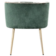 Eetkamerstoel Nell Polyester Groen-Eetkamerstoelen-PTMD