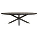 Eetkamertafel Denver Zwart - Ovaal - 300 cm-Eettafels-Starfurn