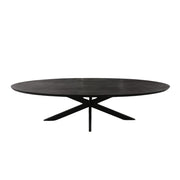 Eettafel Brandy Zwart 210 cm Ovaal 210x100x76 cm-Eettafels-Starfurn