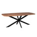 Eettafel Elegance - Deens ovaal - 200x100 cm-Eettafels-Starfurn