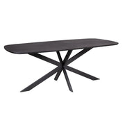 Eettafel Elegance Zwart Deens ovaal 200x100 cm-Eettafels-Starfurn
