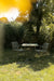 Eettafel George Polypropyleen Beige 70x70 cm