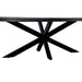 Eettafel Kala Mangohout Zwart 180x90 cm 13692-Eettafels-Livingfurn
