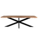 Eettafel Nairobi Mangohout Naturel hout 200x100 cm-Eettafels-Livingfurn
