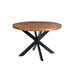 Eettafel Rocky Mangohout Naturel hout 120 cm 120x120x76 cm-Eettafels-Livingfurn