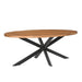 Eettafel Rocky Mangohout Naturel hout 210x100 cm-Eettafels-Livingfurn