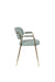 Fauteuil Jolien Goud/light Nylon en polyester Groen 56x61 cm-Fauteuils-Creating Home