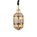 Ovale PTMD hanglamp Mikk van 71 cm met goudkleurig messing frame en transparant glas.