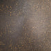 Kapstok TICK Donkerbruin Goud 7.5x3.5x9.5cm Spinder Design-Kapstokken-Spinder