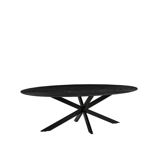 LABEL51 Eetkamertafel James - Zwart - Mangohout - 210 cm - Ovaal-Eettafels-LABEL51