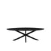 LABEL51 Eetkamertafel James - Zwart - Mangohout - 210 cm - Ovaal-Eettafels-LABEL51