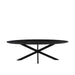 LABEL51 Eetkamertafel James - Zwart - Mangohout - 240 cm - Ovaal-Eettafels-LABEL51
