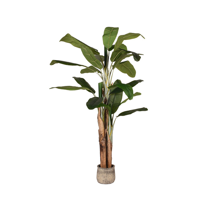 LABEL51 Kunstplant Musa Groen 110x110x180 cm-Kunstplanten-LABEL51
