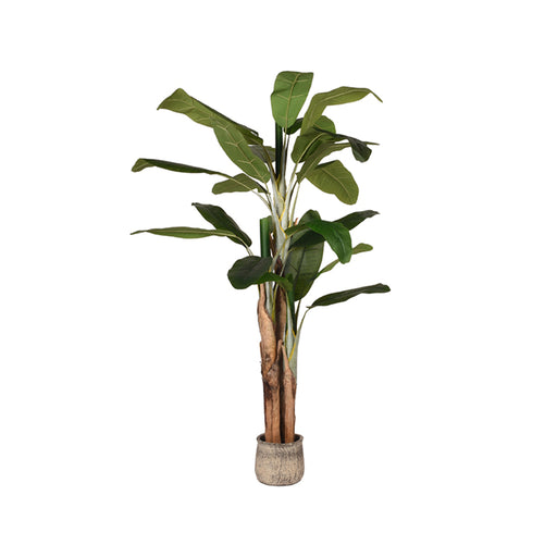 LABEL51 kunstplant Musa van 180 cm met grote groene bladeren en realistische stam in een zwarte kunststof pot.