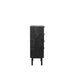 LABEL51 Ladekast Cotia Zwart Mangohout 50 cm 50x30x90 cm-Ladenkasten-LABEL51