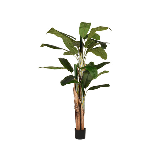 LABEL51 Musa - Groen - Kunststof - 180 cm-Kunstplanten-LABEL51