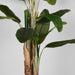 LABEL51 Musa - Groen - Kunststof - 180 cm-Kunstplanten-LABEL51