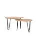 LABEL51 Salontafel Frisk Rough Mangohout 68 cm 68x43x44 cm-Salontafels-LABEL51