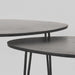 LABEL51 Salontafel Frisk Zwart Mangohout 68 cm 68x43x44 cm-Salontafels-LABEL51