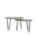 LABEL51 Salontafel Frisk Zwart Mangohout 68 cm 68x43x44 cm-Salontafels-LABEL51
