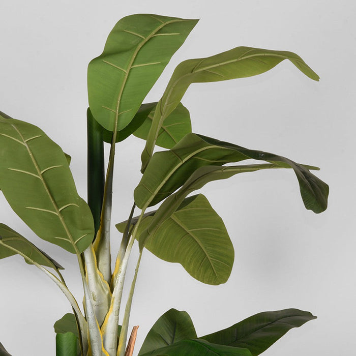 Label51 Musa - Groen - Kunststof - 180 cm-Kunstplanten-LABEL51