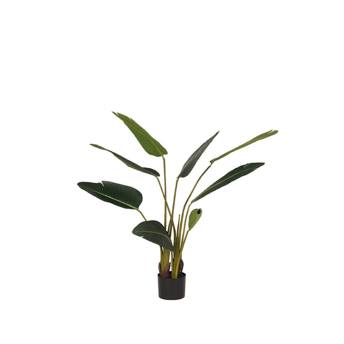 Label51 Strelitzia - Groen - Kunststof - 100 cm-Kunstplanten-LABEL51