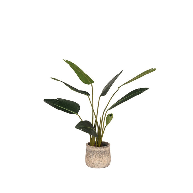 Label51 Strelitzia - Groen - Kunststof - 100 cm-Kunstplanten-LABEL51