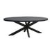 Livingfurn Kala Oval Spider 160cm - Zwart - Metaal-Eettafels-Livingfurn