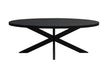 Livingfurn Kala Oval Spider 180 cm - Zwart - Metaal-Eettafels-Livingfurn