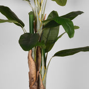 Musa Groen Kunststof 180 cm 110x110x180 cm-Kunstplanten-LABEL51