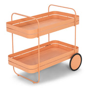 Opbergkast Trolly GIN & TROLLEY Staal Clay Terra 42x74x69.3cm-Opbergkasten-Spinder