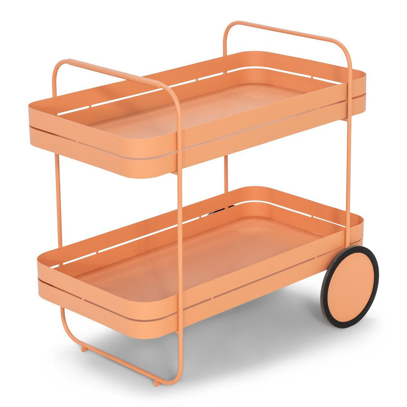 Opbergkast Trolly GIN & TROLLEY Staal Clay Terra 42x74x69.3cm-Opbergkasten-Spinder