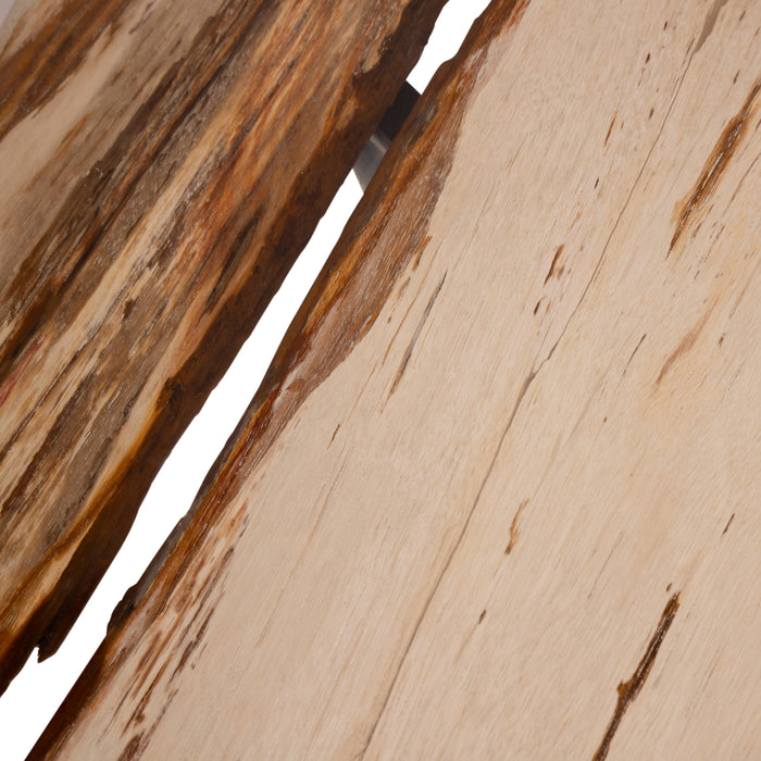 PTMD Deeba Coffeetable Versteend Hout 95-Salontafels-PTMD