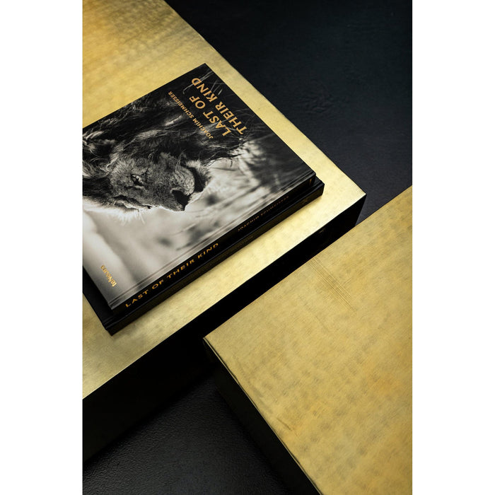 PTMD Irvy Goud Ijzer Coffeetable Vierkant Matt sv2-Salontafels-PTMD