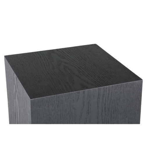 Plantenstandaard Tiess Set van 2 Zwart-Plantenstandaards-PTMD