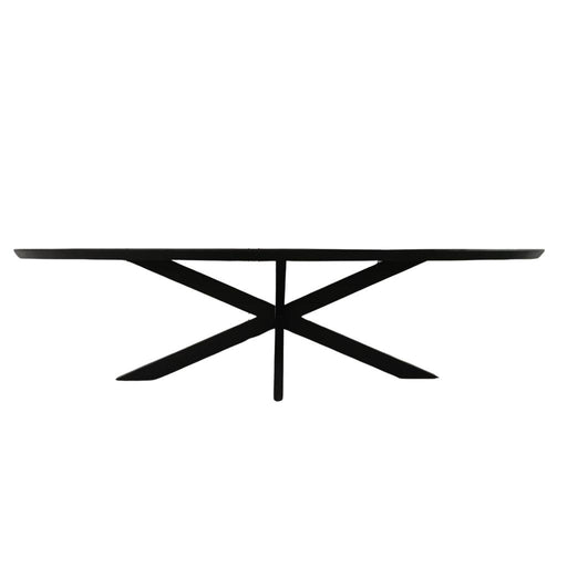 STARFURN Eettafel Brandy Zwart 160 cm Ovaal 160x90x76 cm-Eettafels-Starfurn