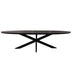 STARFURN Eettafel Brandy Zwart 160 cm Ovaal 160x90x76 cm-Eettafels-Starfurn