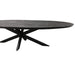 STARFURN Eettafel Brandy Zwart 180 cm Ovaal 180x90x76 cm-Eettafels-Starfurn