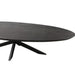 STARFURN Eettafel Brandy Zwart 210 cm Ovaal 210x100x76 cm-Eettafels-Starfurn