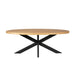 STARFURN Eettafel Dakota | 180 cm | Ovaal-Eettafels-Starfurn