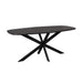 STARFURN Eettafel Eiken eettafel Ferris Deens Ovaal 180 cm Zwart-Eettafels-Starfurn