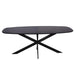 STARFURN Eettafel Eiken eettafel Ferris Deens Ovaal 200 cm Zwart-Eettafels-Starfurn