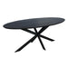 STARFURN Eettafel Eiken eettafel Ferris Ovaal 210 cm Zwart 210x100x76 cm-Eettafels-Starfurn